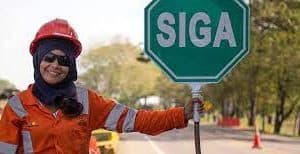 señalizon